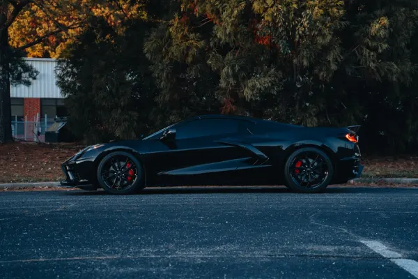 Winnerz Casino Android/iOS Forrit